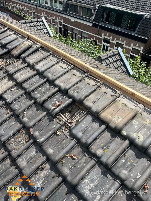 Dakonderhoud aan schuin pannendak met nokvernieuwing in Bergeijk
