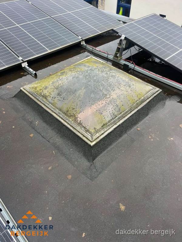 Vervuilde lichtkoepel op plat dak met zonnepanelen in Bergeijk Vervuilde lichtkoepel op plat dak met zonnepanelen in Bergeijk