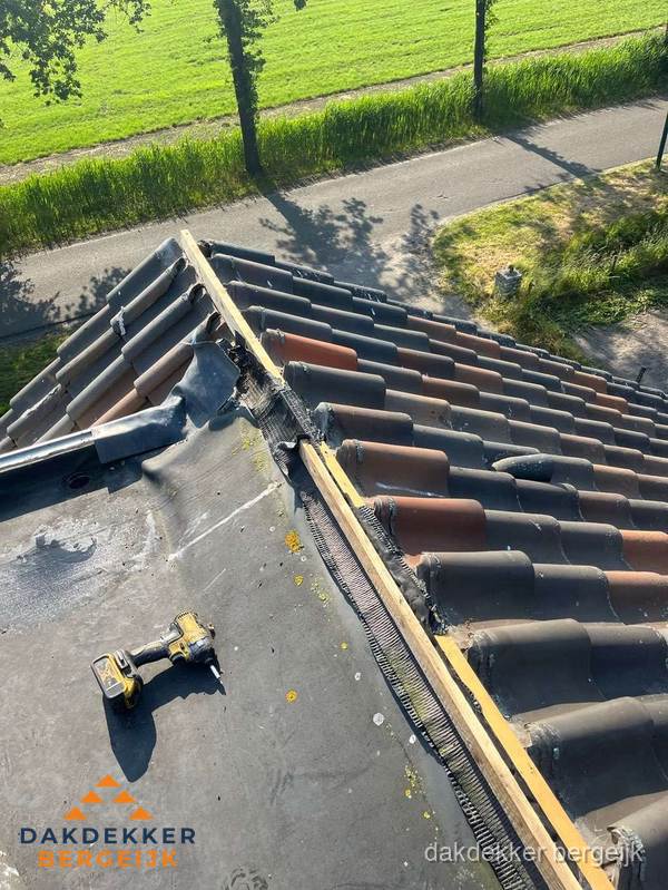 Kosten dakgoot vervangen: werkzaamheden aan dakrand in Bergeijk