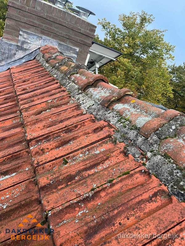 Verweerd hellend dak met mosgroei op nokvorst in Bergeijk Verweerd hellend dak met mosgroei op nokvorst in Bergeijk