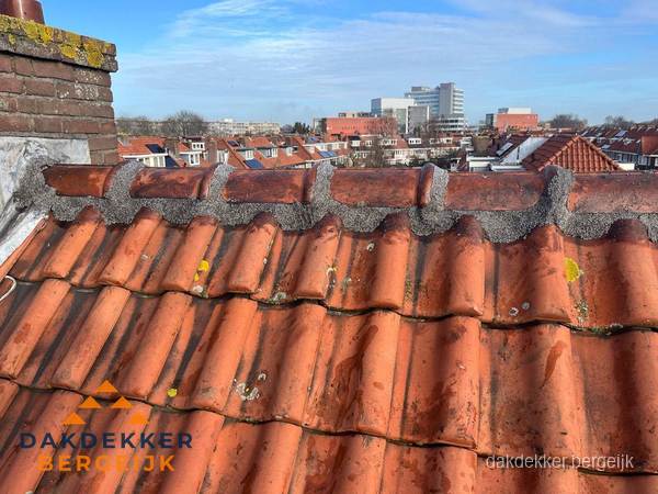 Pannendak met nokvorst en schoorsteen, dakrenovatie in Bergeijk Pannendak met nokvorst en schoorsteen, dakrenovatie in Bergeijk