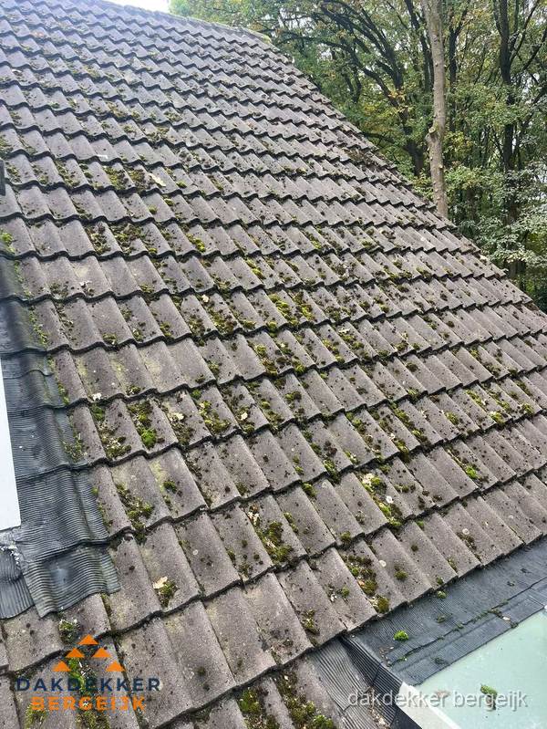 Verweerd pannendak met mosgroei dat renovatie nodig heeft in Bergeijk Verweerd pannendak met mosgroei dat renovatie nodig heeft in Bergeijk