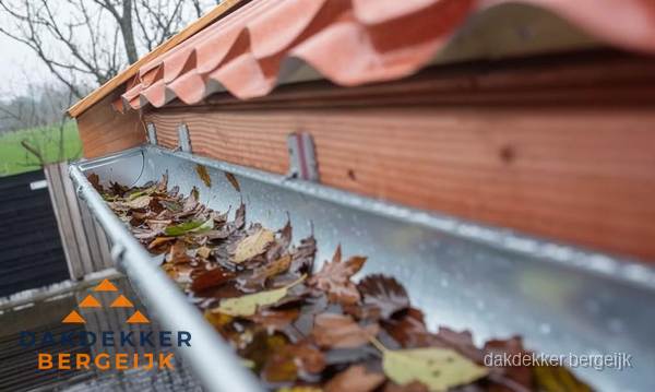Dakgoot vol bladeren die gereinigd moet worden in Bergeijk Dakgoot vol bladeren die gereinigd moet worden in Bergeijk